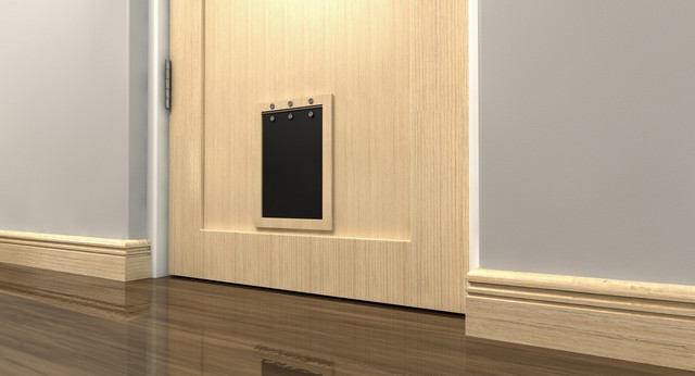 Cat Flap Installation Enfield, EN1