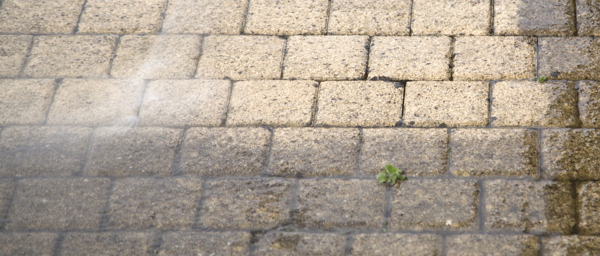 flagging and patios EN1