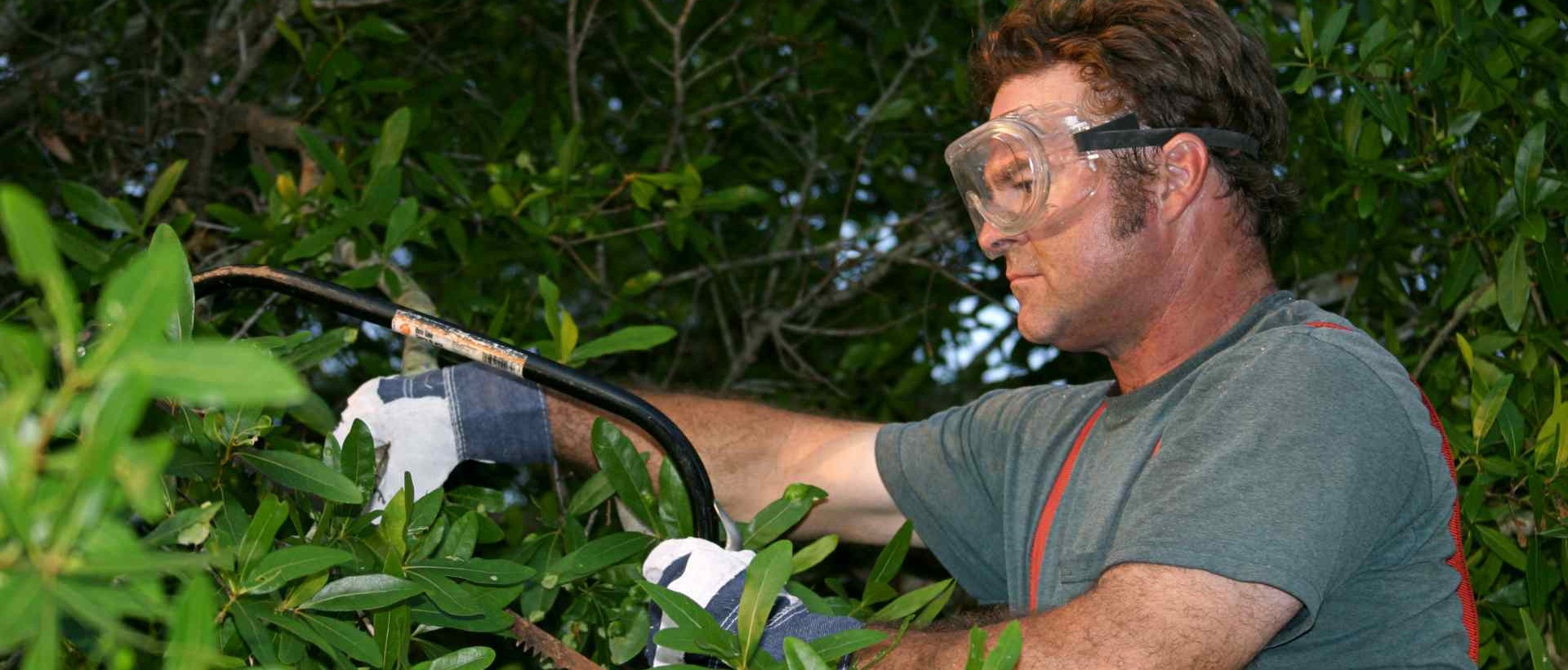 garden clearance EN1